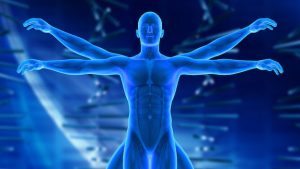 Wellness Services
